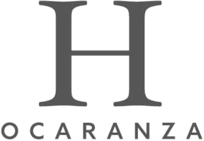 Hotel Ocaranza